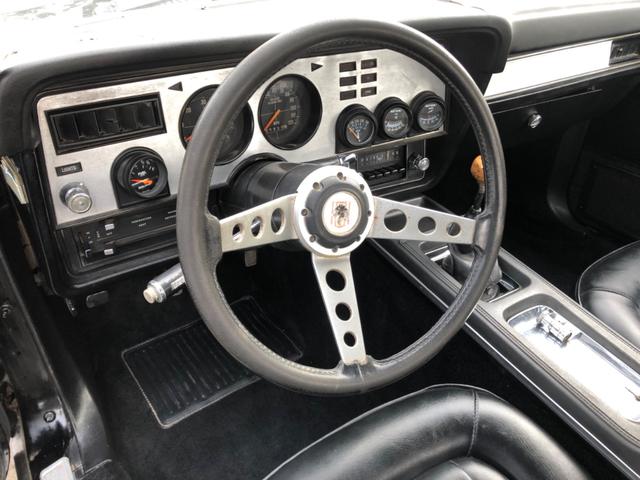 マスタング 国内新規 自社輸入 コブラII 302 V8 4速MT 国内新規 自社輸入 マスタングII コブラ 302 V8 4速MT フルノーマル フルオリジナル(22枚目)