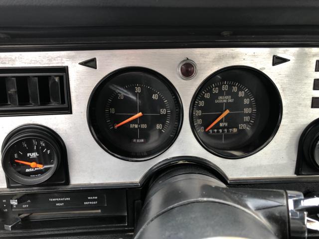 マスタング 国内新規 自社輸入 コブラII 302 V8 4速MT 国内新規 自社輸入 マスタングII コブラ 302 V8 4速MT フルノーマル フルオリジナル(25枚目)