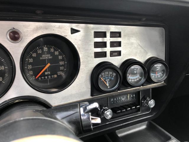 マスタング 国内新規 自社輸入 コブラII 302 V8 4速MT 国内新規 自社輸入 マスタングII コブラ 302 V8 4速MT フルノーマル フルオリジナル(26枚目)