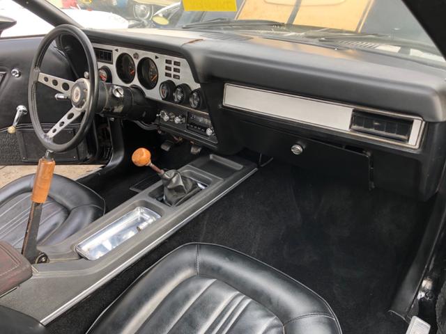 マスタング 国内新規 自社輸入 コブラII 302 V8 4速MT 国内新規 自社輸入 マスタングII コブラ 302 V8 4速MT フルノーマル フルオリジナル(34枚目)