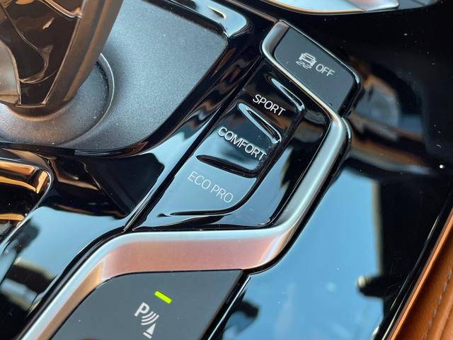 Ｘ４ ｘＤｒｉｖｅ　２０ｄ　Ｍスポーツ　正規認定中古車　１オーナー　電動パノラマサンルーフ　コニャックレザー　電動リアゲート　純正ＨＤＤナビ　前後シートヒーター　全周囲カメラ　アンビエントライト　Ｗエアコン　オートホールド　キーレス　ＥＴＣ（51枚目）