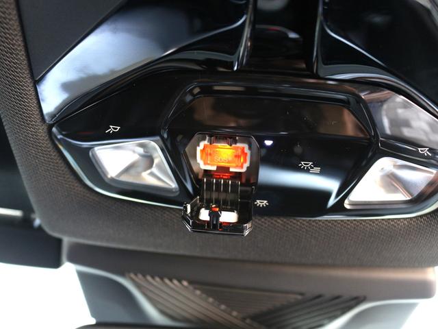 iX2 xDrive 30 Mスポーツ(44枚目)