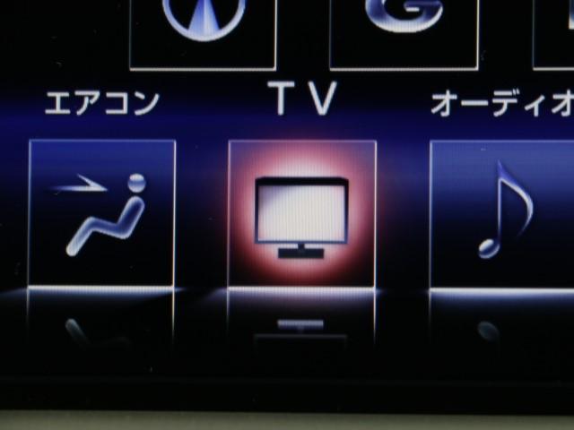 NX300h Fスポーツ(10枚目)