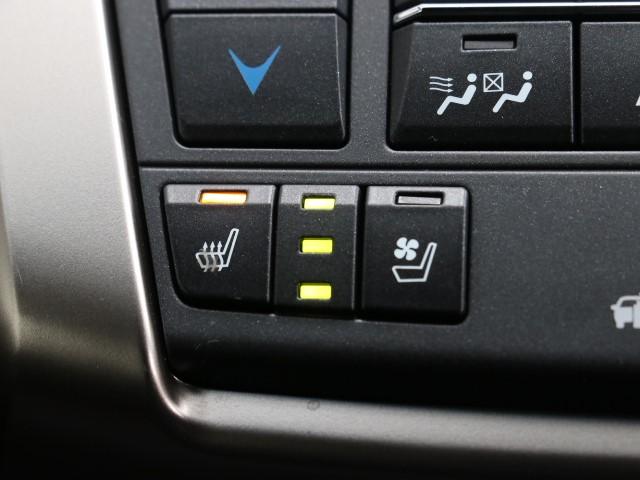 NX300h Fスポーツ(13枚目)