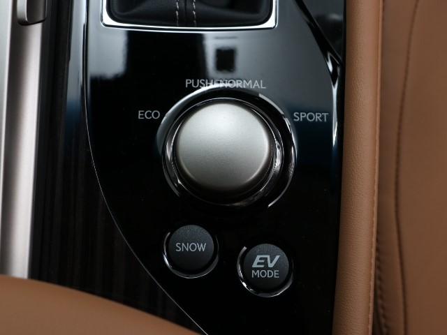 GS300h Iパッケージ(12枚目)