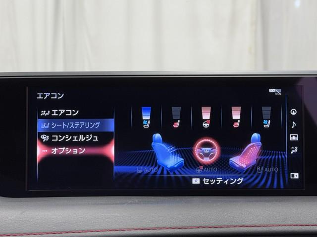 UX UX250h Fスポーツ 黒革シート パワーシート LEDライト 1オーナー DVD再生 オートクルーズコントロール 4WD アルミホイール メモリーナビ スマートキー ミュージックプレイヤー接続可 バックカメラ 盗難防止装置(11枚目)