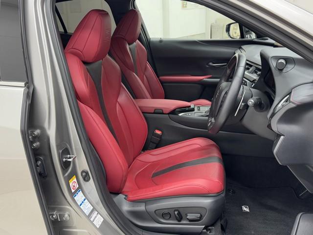 UX UX250h Fスポーツ 黒革シート パワーシート LEDライト 1オーナー DVD再生 オートクルーズコントロール 4WD アルミホイール メモリーナビ スマートキー ミュージックプレイヤー接続可 バックカメラ 盗難防止装置(18枚目)