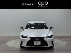 ɣ ɣӣ衡С̡ѥɥţԣüֺܴƥ֥롼ȥ 9572358A20251101Y002 2