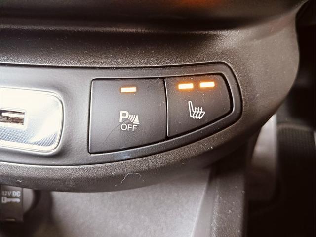 500X インフィニート 全国限定100台 電動オープントップ アダプティブクルーズ 衝突軽減ブレーキ バックカメラ ワンオーナー(22枚目)