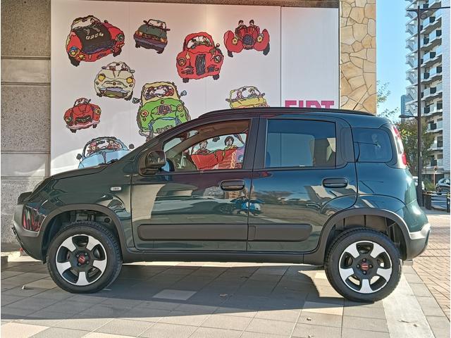 フォレストグリーンはまさに森林のように深いグリーンです。