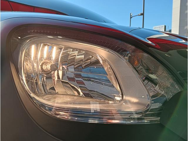 ハロゲンヘッドライトの優しい明かりがパンダの雰囲気に似合います。