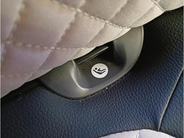 500 イレジスティービレ 全国限定185台 バックカメラ ガラスルーフ 純正16インチアルミ 7インチUコネクト(29枚目)