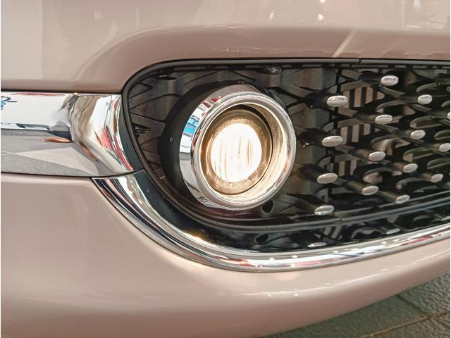 500 イレジスティービレ 全国限定185台 バックカメラ ガラスルーフ 純正16インチアルミ 7インチUコネクト(34枚目)