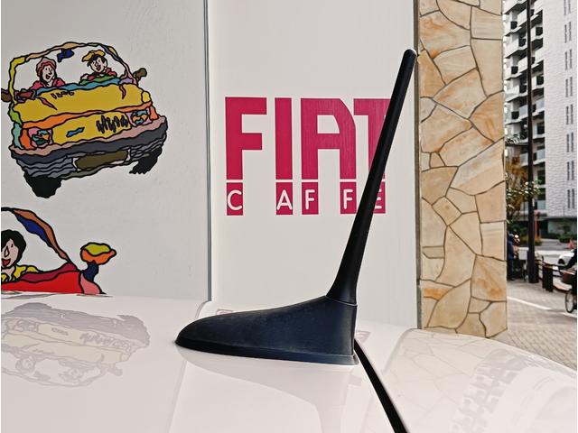 500 イレジスティービレ 全国限定185台 バックカメラ ガラスルーフ 純正16インチアルミ 7インチUコネクト(39枚目)