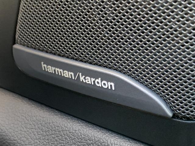 X5 xDrive 40d Mスポーツ(53枚目)