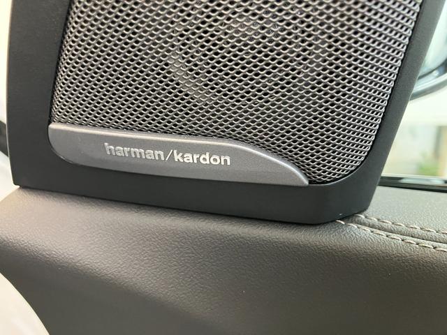 Ｘ５ ｘＤｒｉｖｅ　４０ｄ　Ｍスポーツ　認定中古車　元試乗車　サンルーフ　７人乗り　黒本革　ｈａｒｍａｎ／ｋａｒｄｏｎ　ドリンク温冷　ステアリングヒーター　アクティブベンチレーション　２１ＡＷ　エアサス　フルセグＴＶ　電動テールゲート（19枚目）