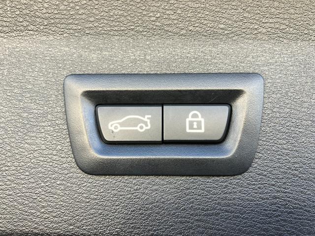 Ｘ１ ｘＤｒｉｖｅ　１８ｄ　Ｍスポーツ　認定中古車　２年保証付　ハーフレザーシート　電動シート　純正ＨＤＤナビ　アクティブクルーズコントロール　バックカメラ　ＬＥＤヘッドライト　１８インチＡＷ　電動テールゲート（46枚目）