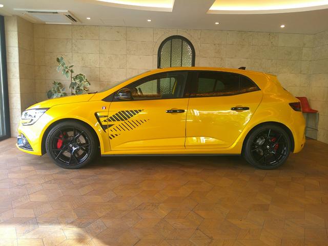メガーヌ R.S.ウルティム シリアルナンバー FF RECARO製バケットシート EDC ACC BOSEサウンド AppleCarplay Rカメラ MEGANE R・S ULTIMEロゴ入 19インチAW(9枚目)