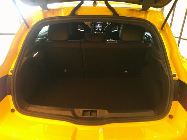 メガーヌ R.S.ウルティム シリアルナンバー FF RECARO製バケットシート EDC ACC BOSEサウンド AppleCarplay Rカメラ MEGANE R・S ULTIMEロゴ入 19インチAW(29枚目)