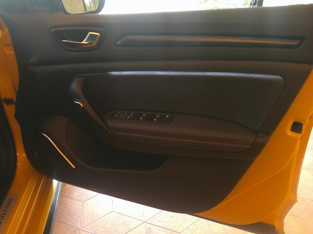 メガーヌ R.S.ウルティム シリアルナンバー FF RECARO製バケットシート EDC ACC BOSEサウンド AppleCarplay Rカメラ MEGANE R・S ULTIMEロゴ入 19インチAW(48枚目)