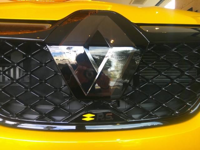 メガーヌ R.S.ウルティム シリアルナンバー FF RECARO製バケットシート EDC ACC BOSEサウンド AppleCarplay Rカメラ MEGANE R・S ULTIMEロゴ入 19インチAW(50枚目)