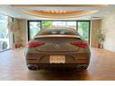 ＣＬＳクラス ＣＬＳ５３　４マチック＋　受注生産色　ガラスＳＲ　トランクスポイラー　ＡＭＧスポーツステアリング　ツインルーバーグリル　２０インチＡＭＧアルミ　デュアルツインエグゾーストパイプ　ＡＭＧスタイリングＰＫＧ　レーダーセーフティ（7枚目）