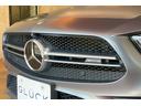 ＣＬＳ５３　４マチック＋　受注生産色　ガラスＳＲ　トランクスポイラー　ＡＭＧスポーツステアリング　ツインルーバーグリル　２０インチＡＭＧアルミ　デュアルツインエグゾーストパイプ　ＡＭＧスタイリングＰＫＧ　レーダーセーフティ（13枚目）