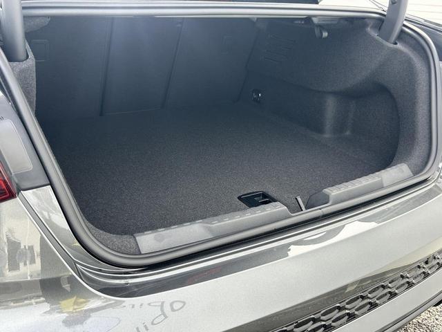 RS3 ベースグレード RSスポーツエキゾースト RSダンピングコントロールサス オプション19インチAW ファインナッパレザーダイヤモンドステッチ マトリクスLED レッドキャリパー(15枚目)