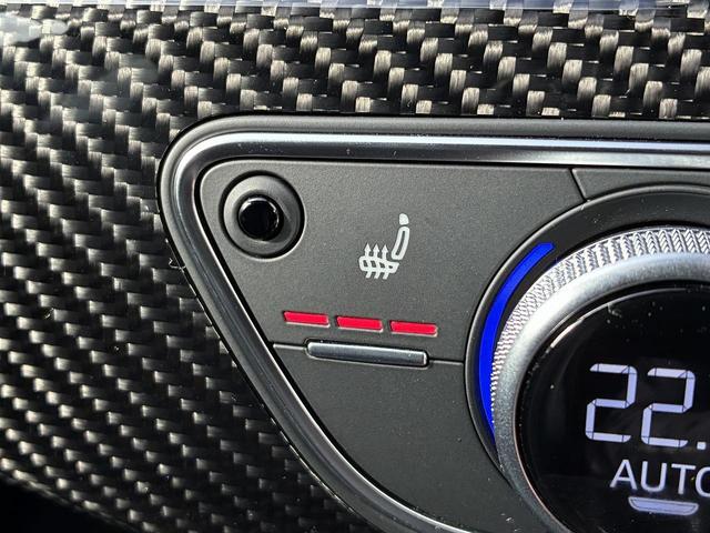 ＲＳ４アバント ベースグレード　カーボンスタイリングＰＫＧ　Ｂ＆Ｏ　ＲＳスポーツエキゾースト　ＯＰ２０インチＡＷ　マッサージシート　デコラティブパネルカーボン　レッドキャリパー　スマホ連携　ＡＣＣ　レーンアシスト　　サイドアシスト（33枚目）