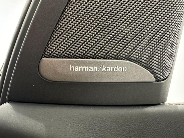 Ｘ７ ｘＤｒｉｖｅ　４０ｄ　Ｍスポーツ　ワンオーナー黒革ＦクライメートシートソフトクローズドアパノラマサンルーフＳｋｙＬｏｕｎｇｅレーザーライトＨａｒｍａｎ／Ｋａｒｄｏｎ　ＨＵＤジェスチャーコントロールＤアシストプロＰアシスト＋純正２１ＡＷ（17枚目）