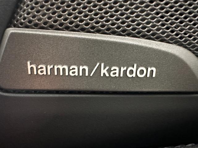 Ｘ３ ｘＤｒｉｖｅ　２０ｄ　Ｍスポーツ　全国２年保証ブラックレザーシートヒーターコンフォートアクセスオートトランクパノラマルーフＨａｒｍａｎ／ＫａｒｄｏｎサウンドアダプティブＬＥＤライトＤアシストプロパークアシスト＋ＴＶＨＵＤ純正２０ＡＷ（17枚目）