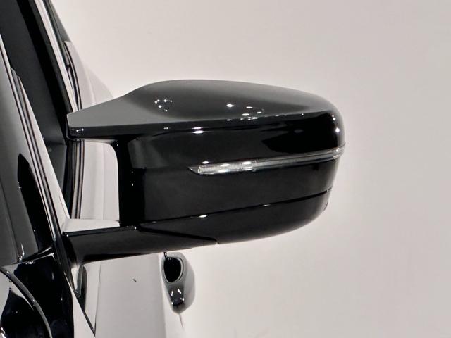 ドアミラーに内蔵されているフラッシャーは視認性も良く安全運転に一役買ってます。