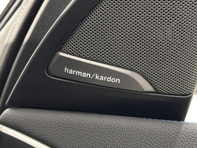 X3 M40d 全国2年保証HarmanKardonサウンドパノラマルーフブラックレザーシートヒーターMスポーツブレーキ/デフアダプティブMサスアダプティブLEDライトDアシストプロパークアシスト+純正21AW雹害車(17枚目)