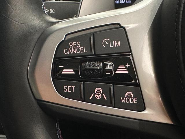 X3 M40d 全国2年保証HarmanKardonサウンドパノラマルーフブラックレザーシートヒーターMスポーツブレーキ/デフアダプティブMサスアダプティブLEDライトDアシストプロパークアシスト+純正21AW雹害車(29枚目)