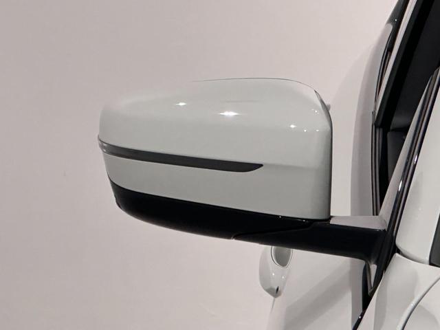 �h�A�~���[�ɓ�������Ă���t���b�V���[�͎��F�����ǂ����S�^�]�Ɉ�𔃂��Ă܂��B