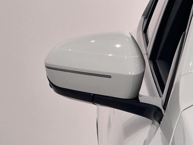 �h�A�~���[�ɓ�������Ă���t���b�V���[�͎��F�����ǂ����S�^�]�Ɉ�𔃂��Ă܂��B