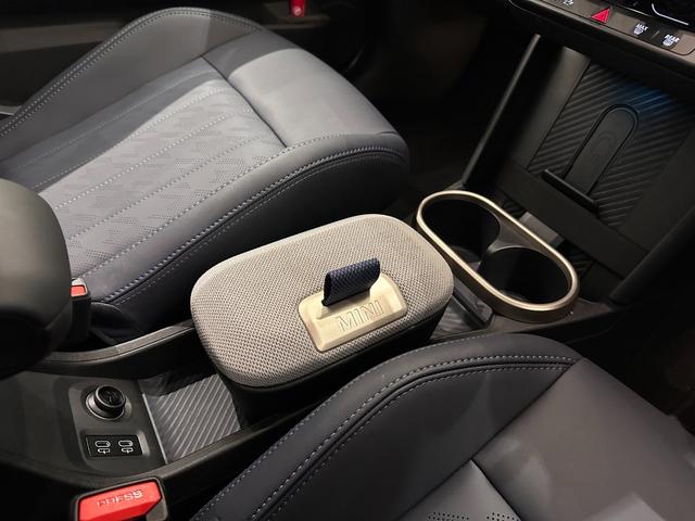 �h�����N�z���_�[�E���C�����X�[�d