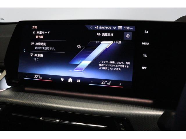 ｉＸ１ ｅＤｒｉｖｅ　２０　Ｍスポーツ　ハイラインパッケージ　ＢＭＷ認定中古車　車線逸脱警告　衝突軽減ブレーキ　ブラックヴァーネスカレザーシート　テクノロジーパッケージ（52枚目）