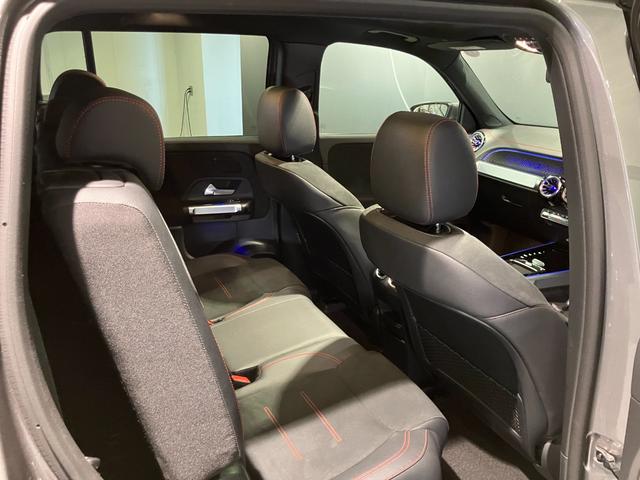 ＥＱＢ ＥＱＢ２５０＋　ＡＭＧラインパッケージ　認定中古車　レーダーセーフティパッケージ　３６０°カメラシステム　アンビエントライト　パノラミックスライディングルーフ　ＡＭＧラインパッケージ　ＬＥＤヘッドライト　メタリックペイント　マウンテングレー（28枚目）