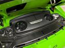 911GT3RS PDK ワンオーナー クラブスポーツPKG(ロールゲージリザードグリーン塗装)PCCB Fリフター フロントリフター スポーツクロノ スポーツエグゾースト バックカメラ(24枚目)