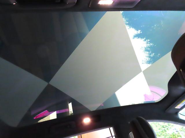 エメヤ Ｒ　ファイアグローオレンジ／マグネタイトインテリア　エグゼクティブシートパック（４人乗り）２２インチホイール　カーボンパック　ドアミラーサイドカメラ（35枚目）