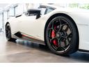CCB with red calipers