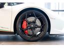 CCB with red calipers
