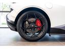 CCB with red calipers