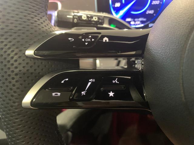 ＥＱＥ ＳＵＶ ＥＱＥ３５０　４マチック　ＳＵＶ　ＡＭＧラインパケジ（28枚目）