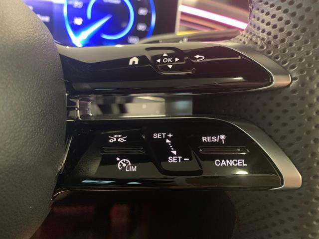 ＥＱＥ ＳＵＶ ＥＱＥ３５０　４マチック　ＳＵＶ　ＡＭＧラインパケジ（29枚目）
