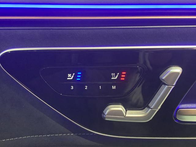 ＥＱＥ ＳＵＶ ＥＱＥ３５０　４マチック　ＳＵＶ　ＡＭＧラインパケジ（31枚目）