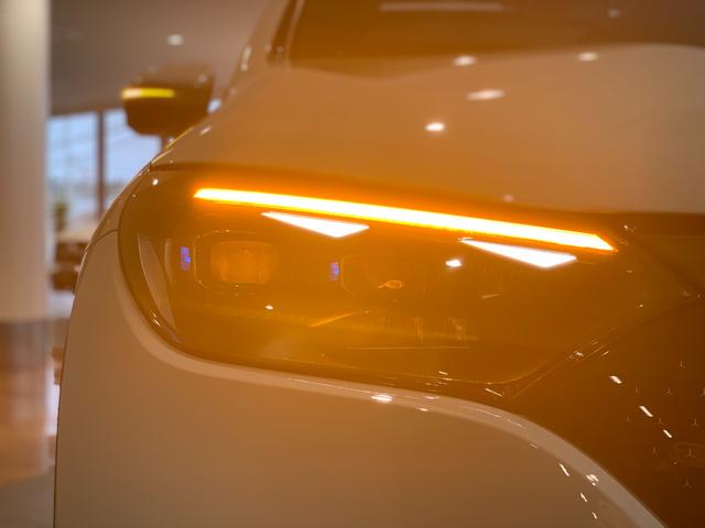 ＥＱＥ ＳＵＶ ＥＱＥ３５０　４マチック　ＳＵＶ　ＡＭＧラインパケジ（40枚目）