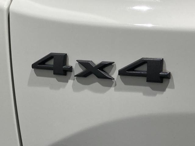 ジープ・レネゲード トレイルホーク　認定中古車　弊社オーナー様下取り車両　ワンオーナー車　禁煙車　４ＷＤ　新車取り扱い終了モデル　純正ナビ　アイドリングストップ　クルーズコントロール　ブラインドスポットモニター　ＥＴＣ２．０（52枚目）