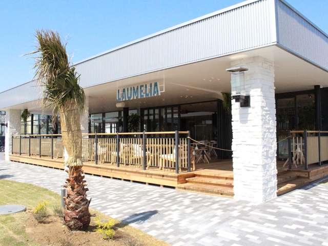 ＥＱＡ ＥＱＡ２５０＋　ＡＭＧラインパッケージ　認定中古車　ＥＴＣ　全周囲カメラ　クリアランスソナー　オートクルーズコントロール　レーンアシスト　衝突被害軽減システム　サンルーフ　ＬＥＤヘッドランプ　電動リアゲート　アルミホイール　ＭＰ２０２５０１（64枚目）